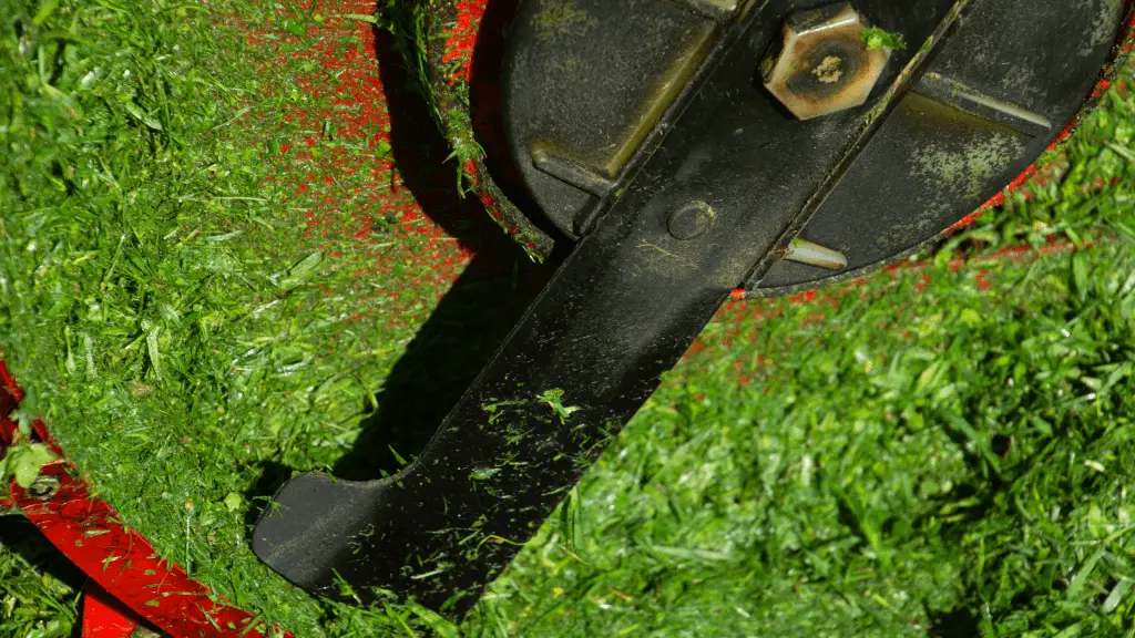 Should Lawn Mower Blades Spin Freely (Details 2023)