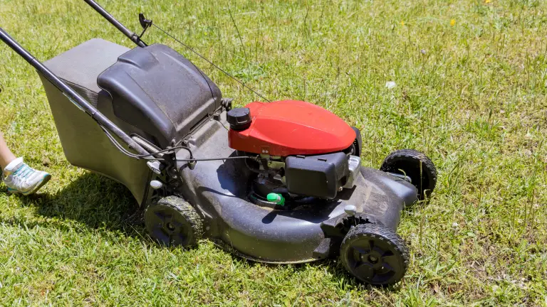 Can A Self-Propelled Lawnmower Go Backward? (Yes, Details 2023)