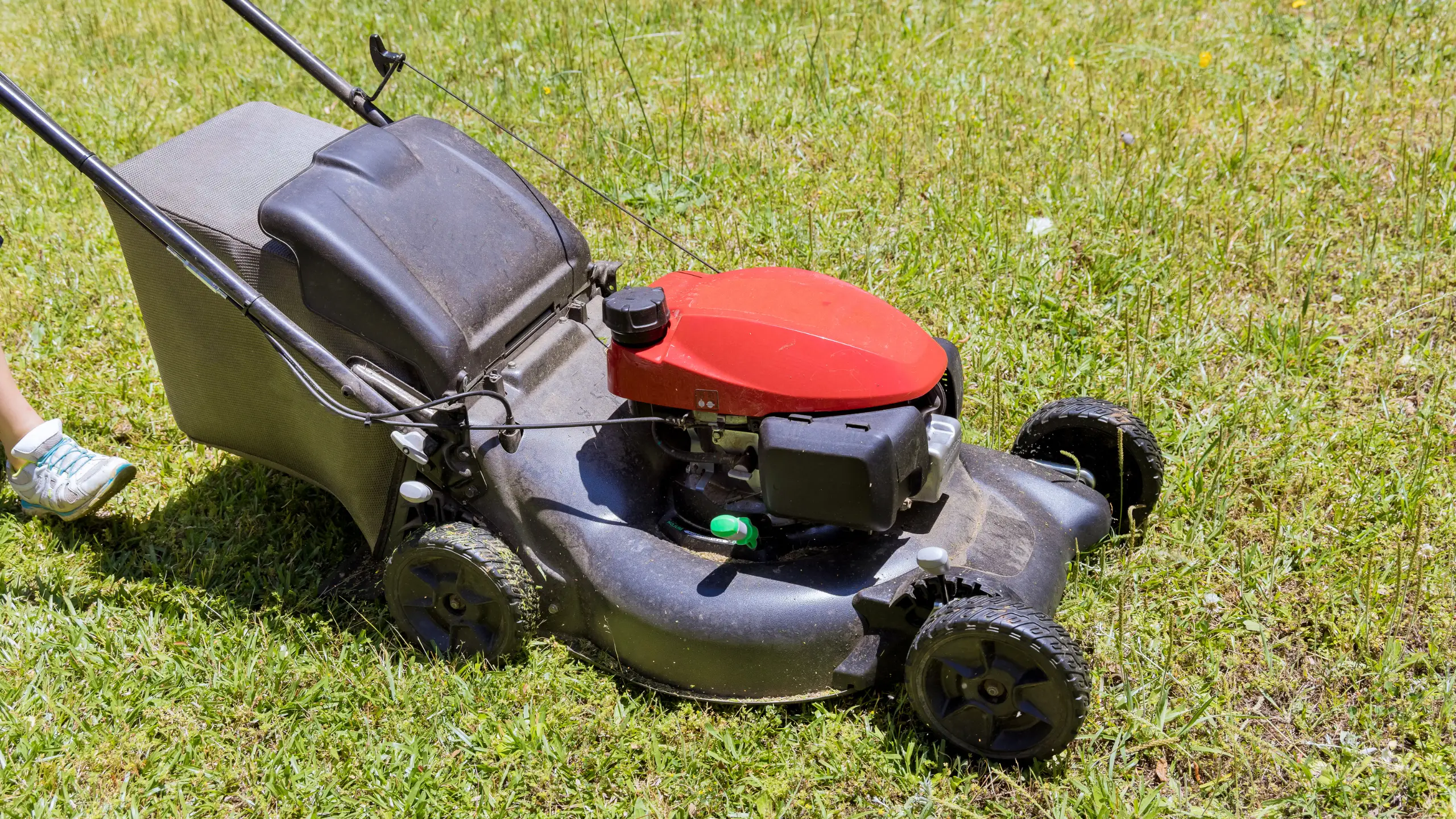 Can A Self-Propelled Lawnmower Go Backward
