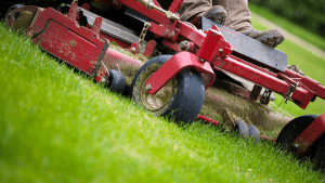Why Your Lawn Mower Is Louder Than Usual (1)