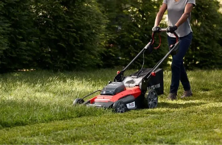 How Often To Change Oil In Lawn Mower? Discover the Perfect Frequency!