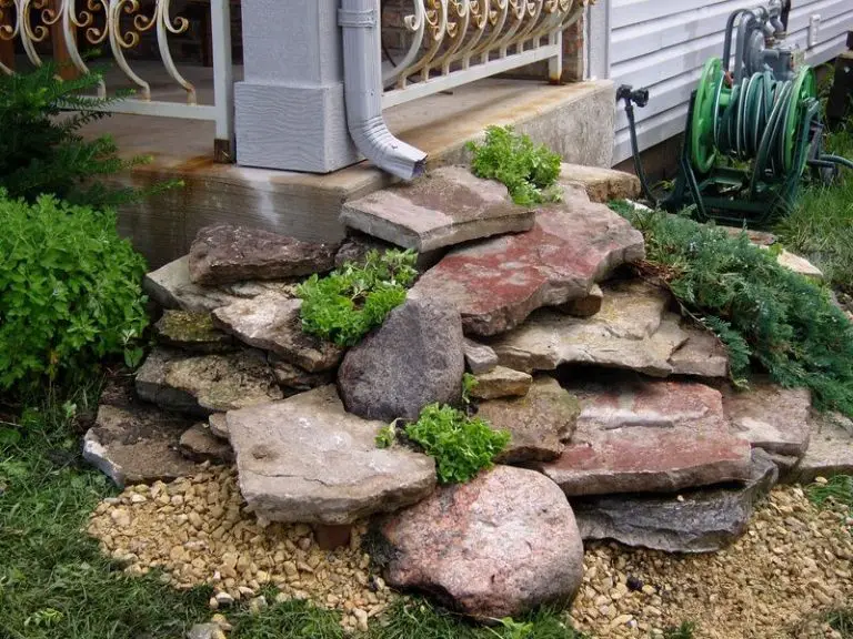 Master the Art of Diverting Water in Your Yard with a Berm