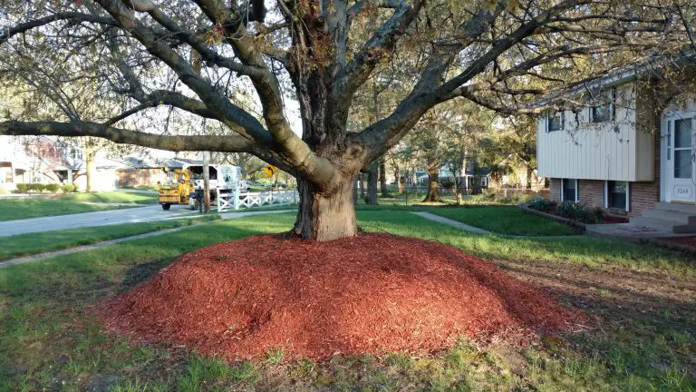 Why Is Mulching Leaves Into Lawn A Good Idea? : The Big Benefits Revealed