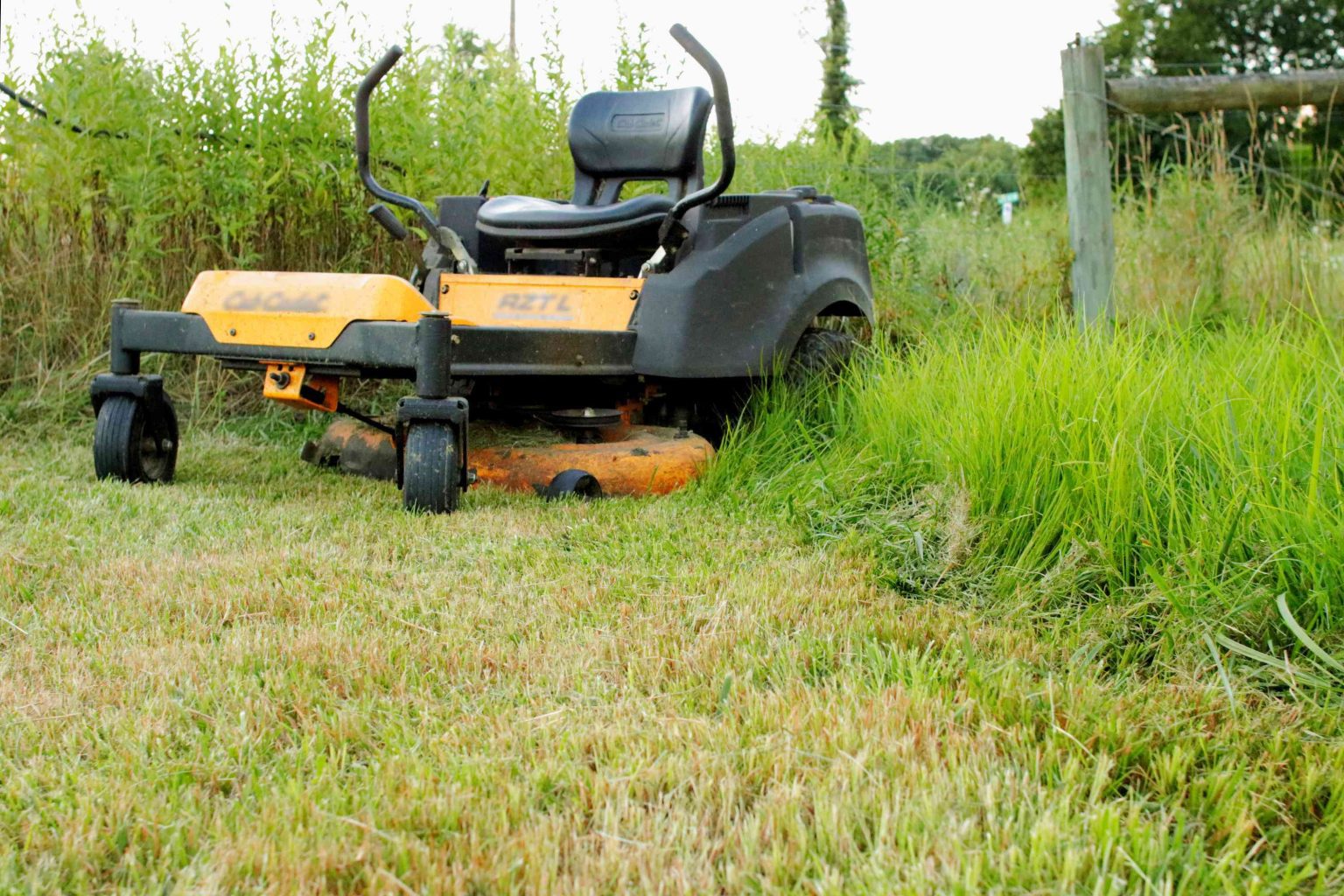 Avoid These Mistakes! Discover the Consequences of Cutting Grass Too Short Outside Gear
