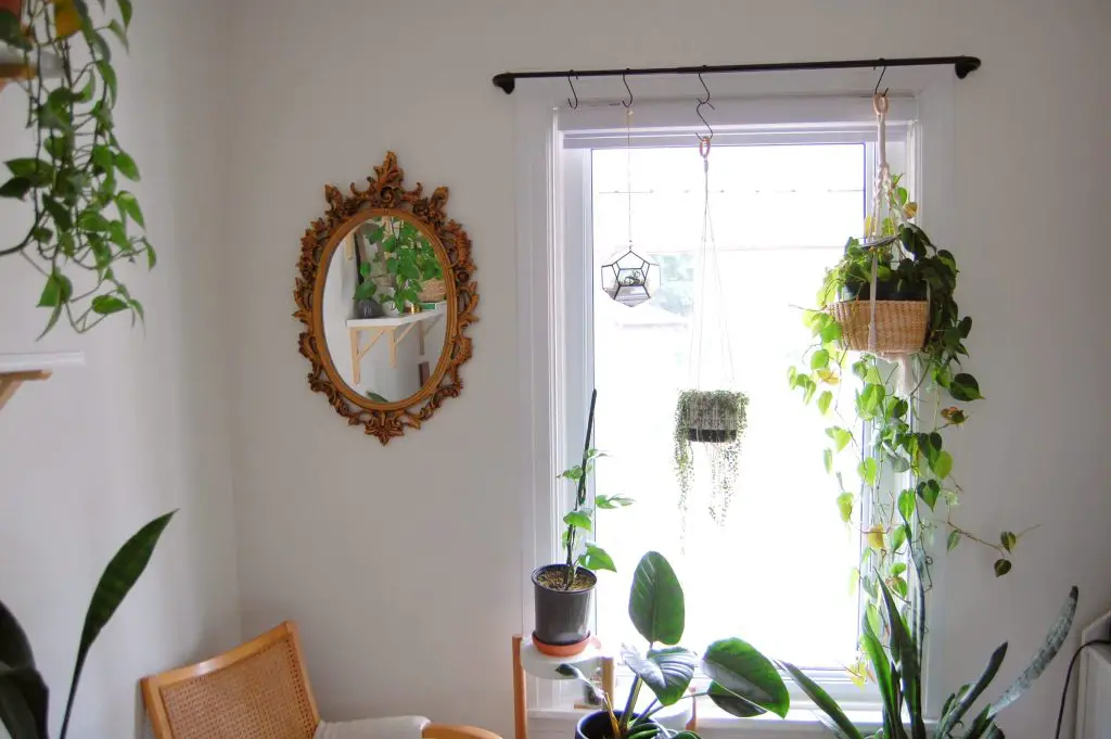 15 Creative Ways To Hang Plants In Your House Or Apartment - Outside Gear