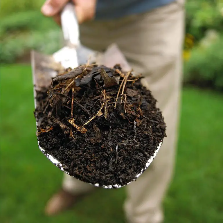 Discover Powerful Ways to Shred Leaves for Compost in 5 Steps!