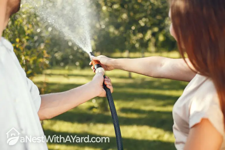 Myth Or Fact: Will Watering Grass In Direct Sunlight Actually Burn It?