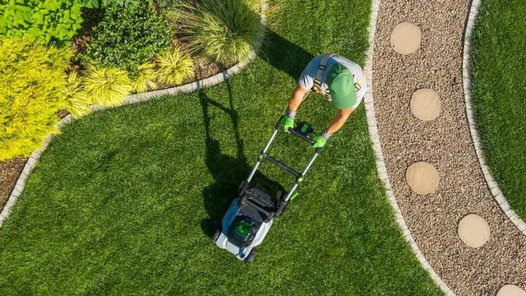 Discover the Ultimate Guide to Lawn Maintenance: How Often Should You Mow Your Lawn?