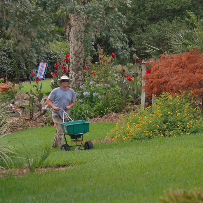 Wondering When’s the Best Time to Fertilize Your Lawn? Here’s Everything You Need to Know!