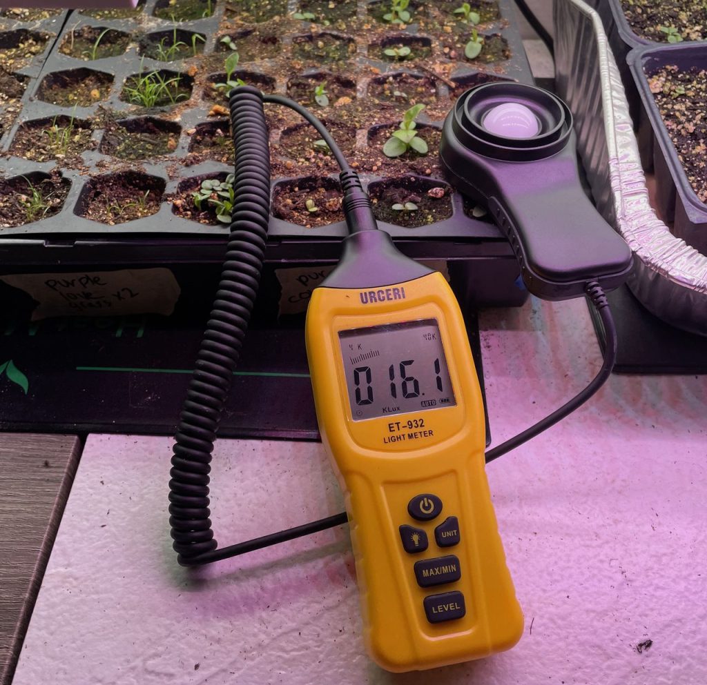 Can You Use Regular LED Lights for Grow Lights? Here's What You Must