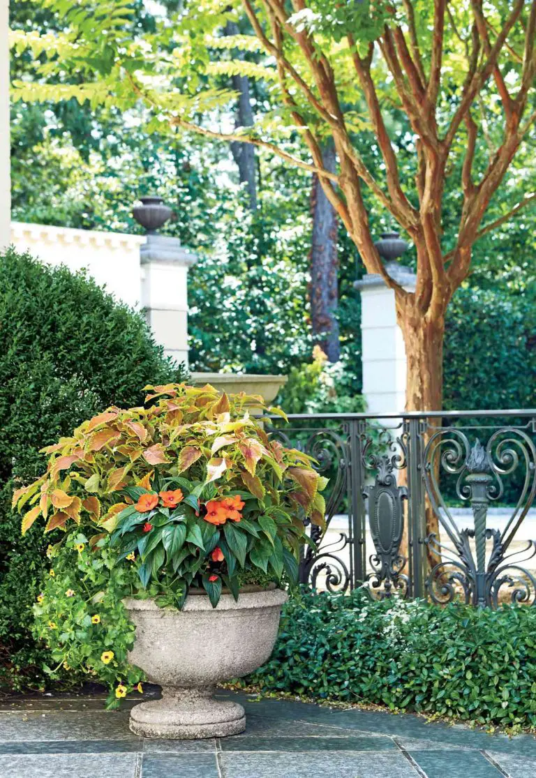 Discover the Ultimate Garden Container Ideas: Our Favorite is #18!