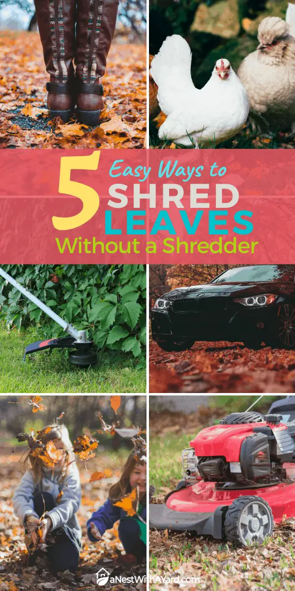 How to Easily Shred Leaves Without a Shredder: Discover 5 Simple Techniques!