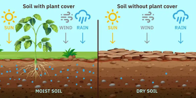 How to Rapidly Dry Wet Soil: 11 Expert Methods for Success