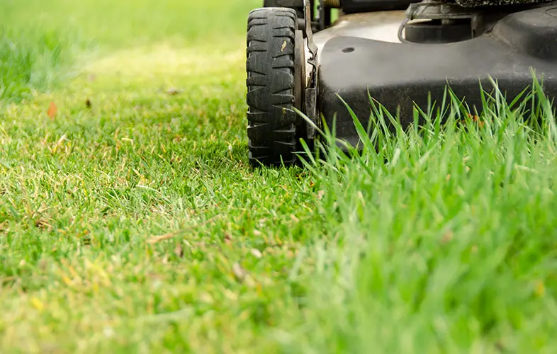 Winter Lawn Care: Tips for Cutting Grass Short before Winter - Outside Gear