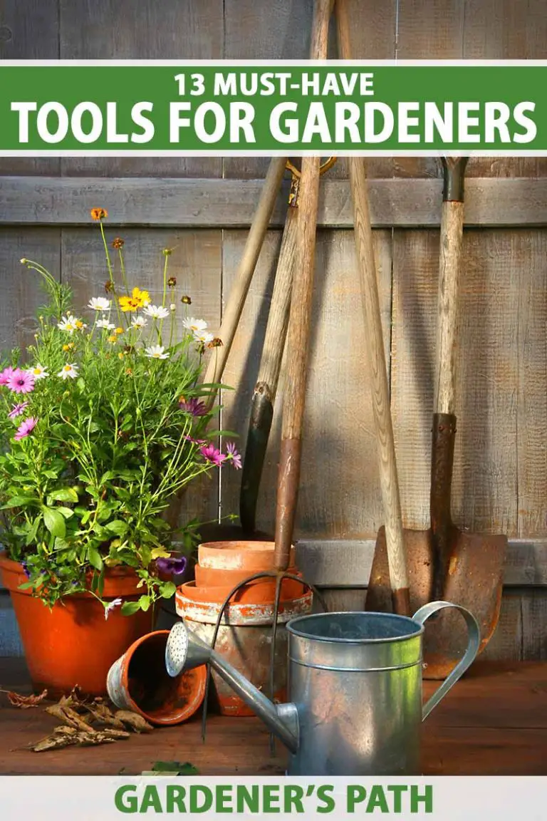 Discover the Power of Gardening Hoes: 9 Types You Should Know About