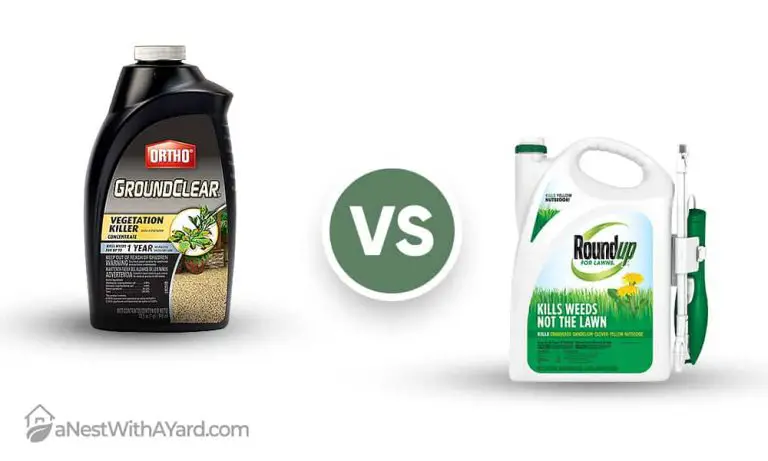 Ortho Ground Clear vs Roundup: Which Kills Weeds Best for Your Lawn?