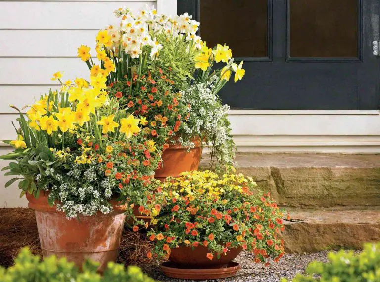 Transform Your Yard with 23 Eye-Catching Front Lawn Landscaping Ideas!