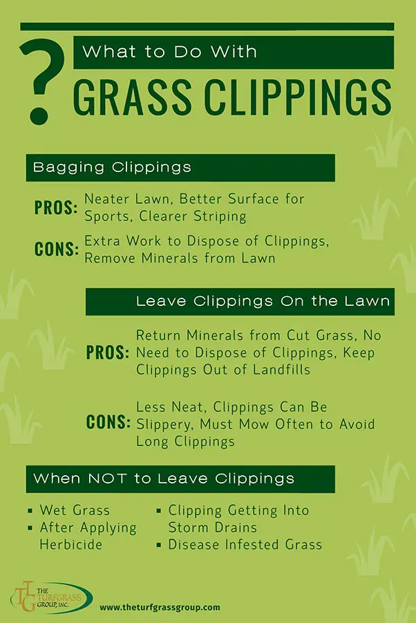 How To Get Rid Of Grass Clippings
