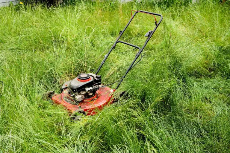 Mower Uncut Grass